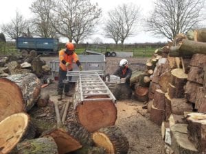 Tree-cutting-nottingham-4-300×225
