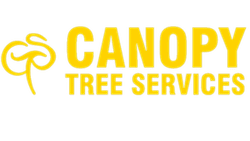 Canopy Tree Services