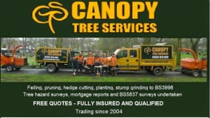 Arb approved tree contractor in Nottingham