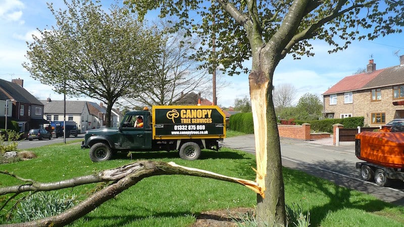 Emergency tree surgery in the East Midlands