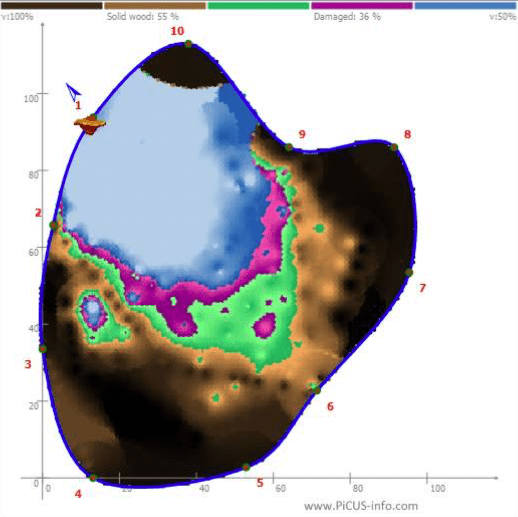 Picus decay detection test