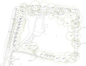 tree surveys and reports