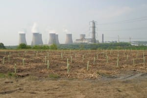 tree planting in derby, nottingham, loughborough and throughout the east mindlands