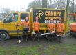 Canopy tree services team