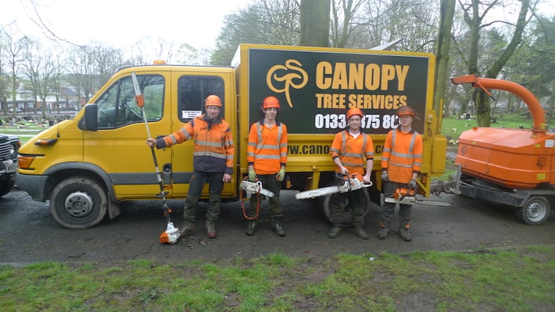 Canopy tree services team