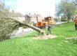felling trees derby