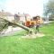 felling trees derby